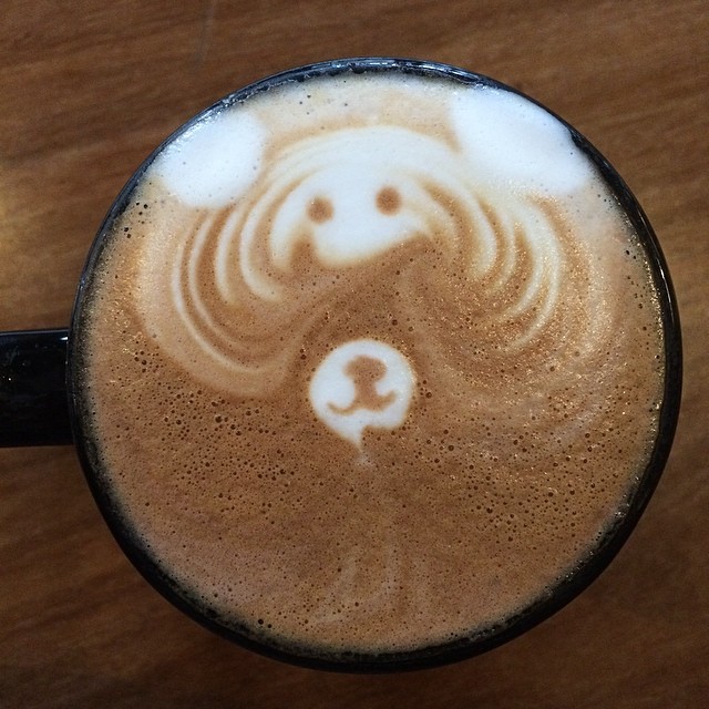 Watch out it's a mocha bear! :)