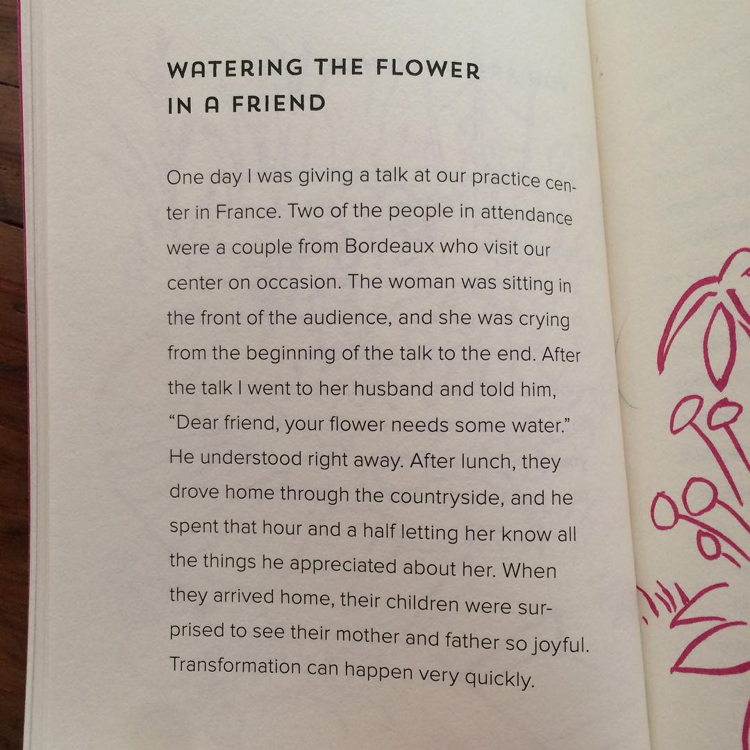 Watering the flower in a friend