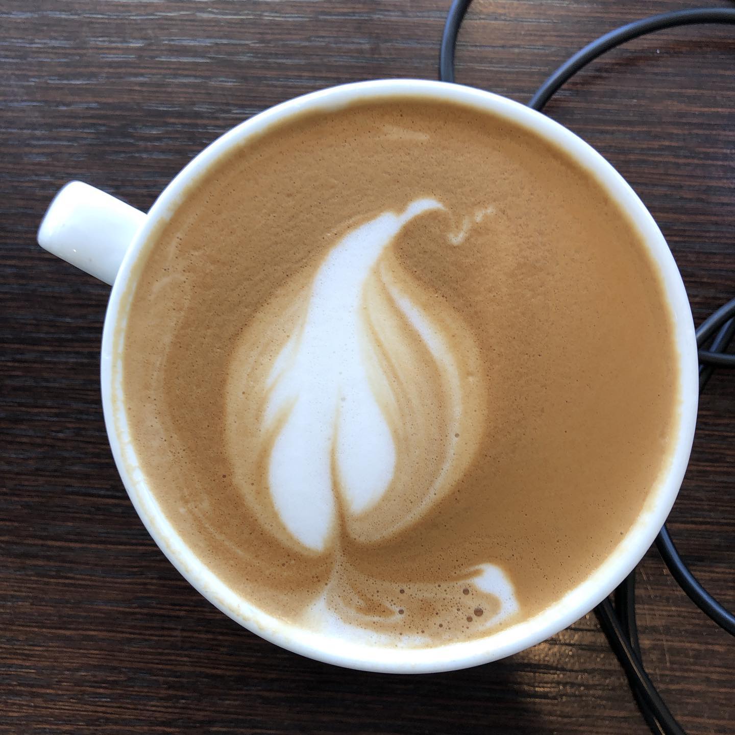 What do you see?