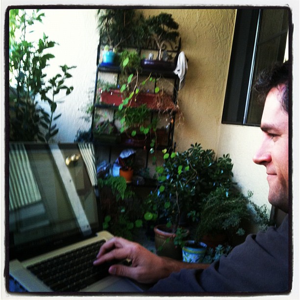 Working in my outside office today