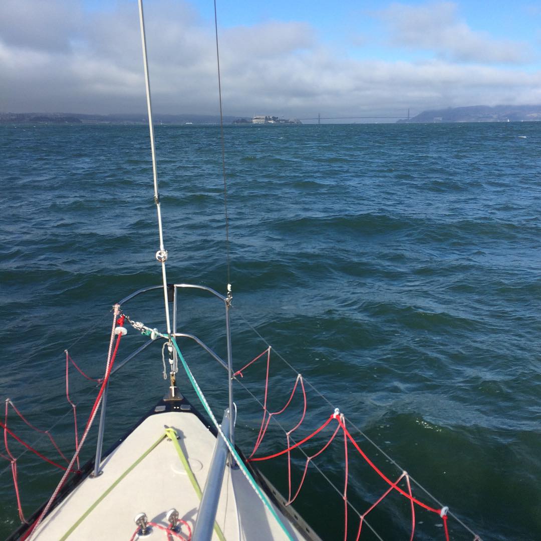 Yay for trusty assistants for helping fix web servers while I'm on my way on a boat for Duxbury reef ocean race. Thanks love.